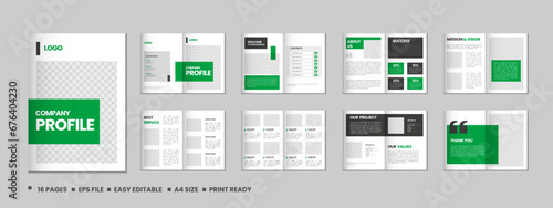 Company profile, multipage flyer brochure, 16 pages portfolio magazine, annual report, catalog and a4 multipage template design
