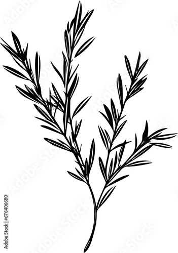 Rosemary sprigs 