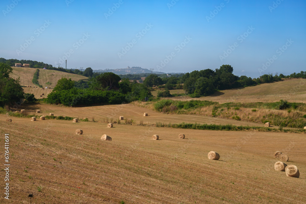 Rural landscape near Bolsena, Lazio, Italy