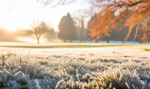 Frosty grass lawn at golf course in winter morning © Aliaksandra