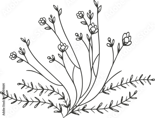 Leaf plant flower outline illustration hand drawn