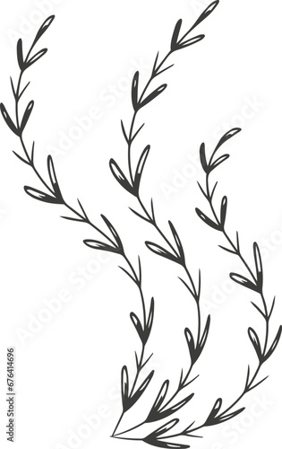 Fototapeta Naklejka Na Ścianę i Meble -  Leaf plant flower outline illustration hand drawn