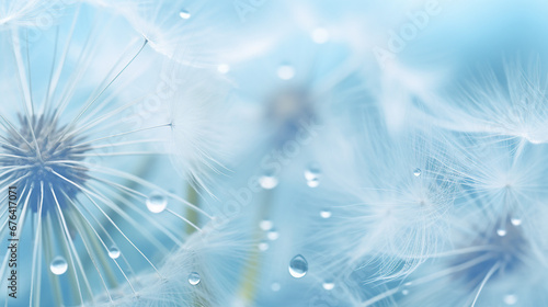 Dandelion Macro Photography: Abstract Flower Seeds Closeup