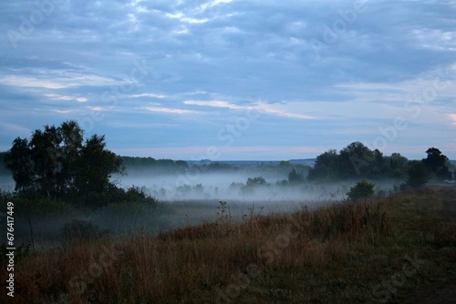 Morning foggy landscape