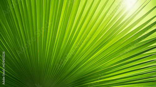 Palm Leaf Abstract Texture for Modern Design and Decor - Tropical Nature Background