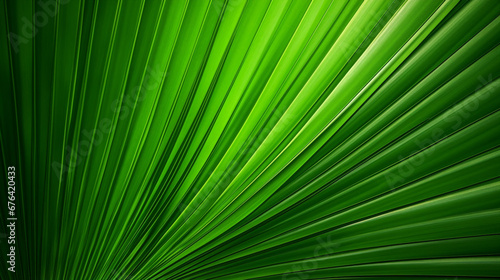 Palm Leaf Abstract Texture for Modern Design and Decor - Tropical Nature Background