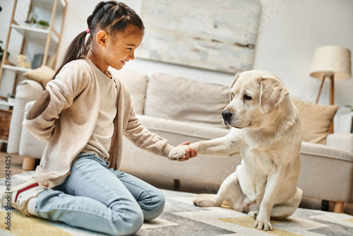 cute labrador giving paw to elementary age girl in casual wear in modern living room, kid and dog photo