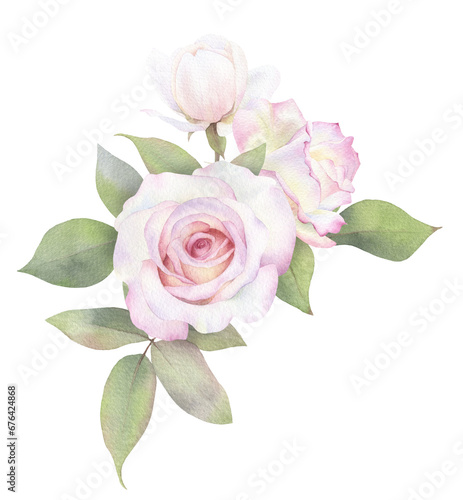 A floral arrangement, bouquet of tender pink roses and green leaves hand drawn in watercolor. Isolated floral watercolor illustration.