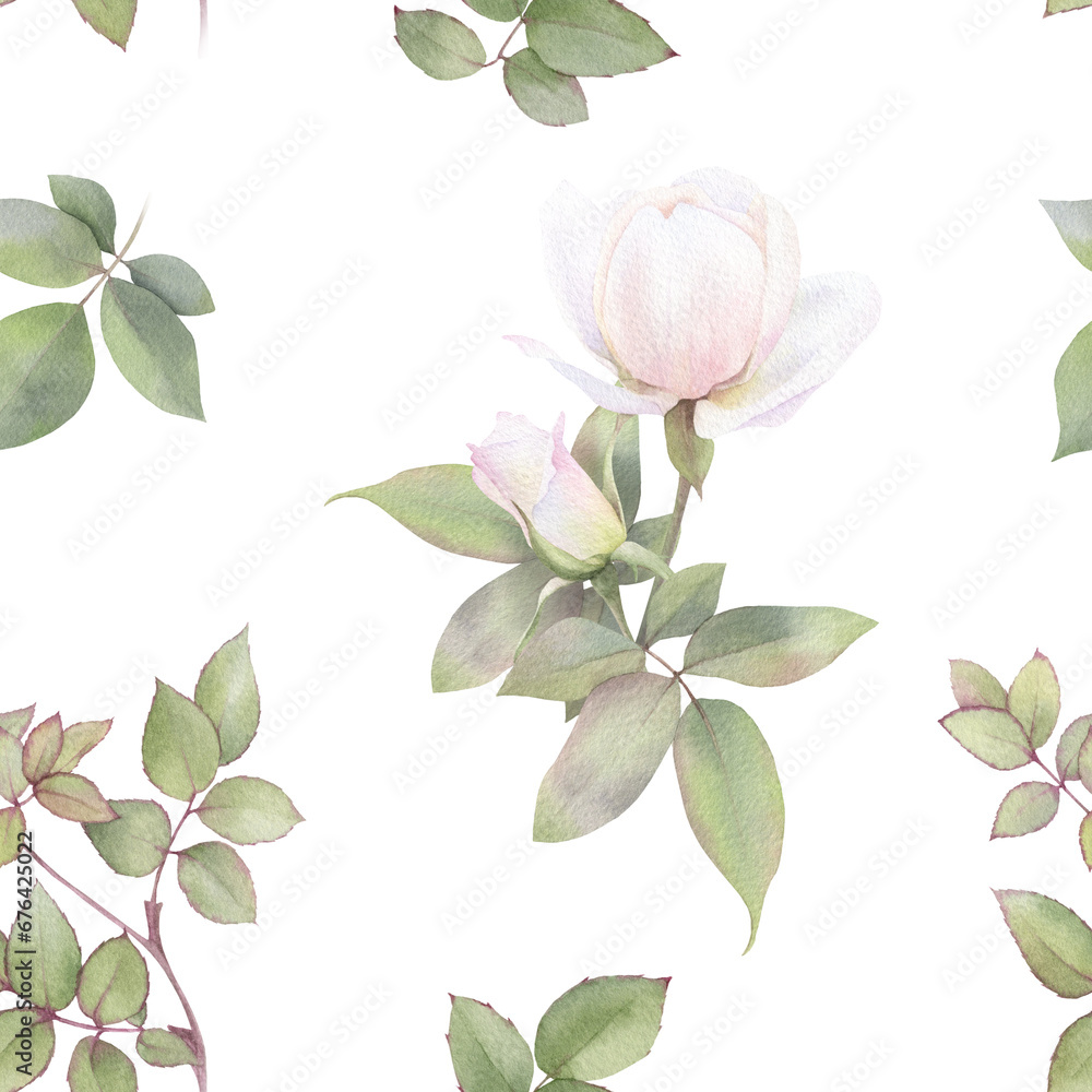 Fototapeta premium A floral seamless pattern with pink roses, buds and leaves hand drawn in watercolor isolated on a white background. Watercolor floral pattern