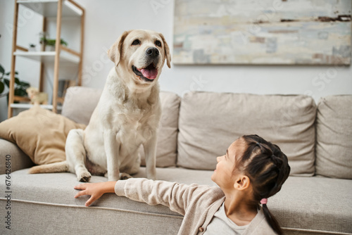 happy girl smiling and sitting near sofa with cute labrador in modern living room, animal companion
