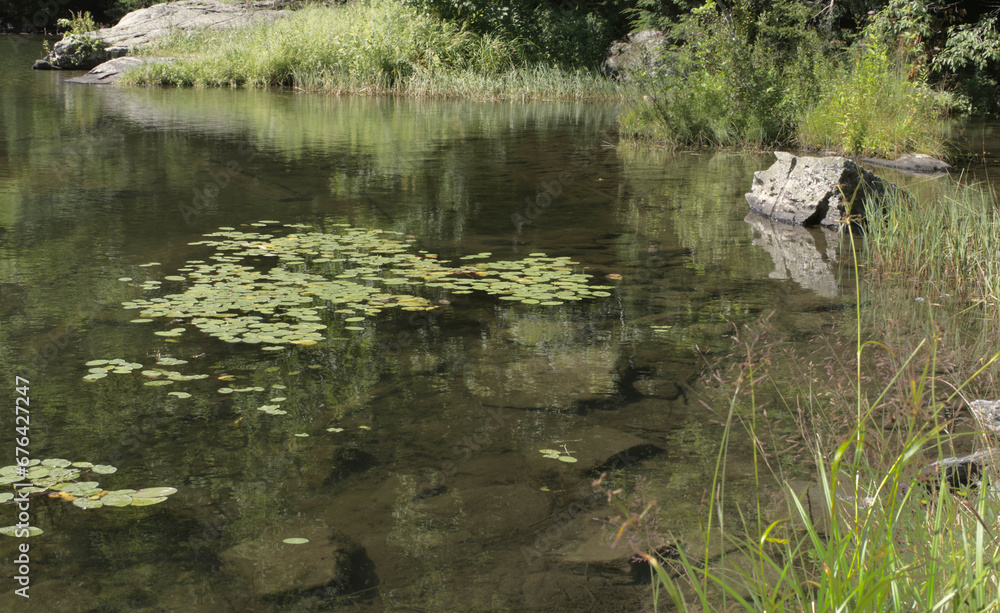 Vermont Pond in Summer with Lily Pads, rocks, clear water, color, sun, calm, peaceful, serene Vermont Pond in Summer with Lily Pads, rocks, clear water, color, sun, calm, peaceful, serene