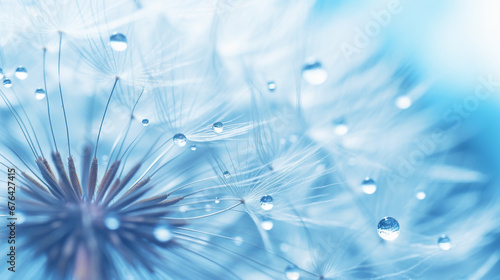 dew drops on dandelion seed macro  soft blue nature close-up photography