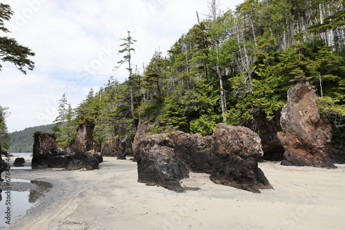 Cape Scott Provincial Park - Sea Stacks at San Josef Bay (Vancouver Island) Canada