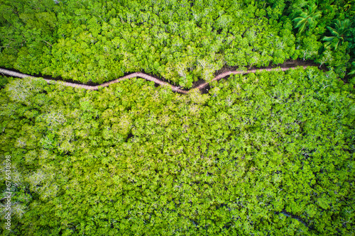 Drone photgraphy of Port Launay Coastal Wetlands, mangrove wooden bridge, One of the best mangrove wetlands on the island of Mahé, supporting all seven species of mangroves in Seychelles