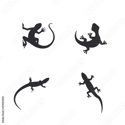 vector set of lizard icon