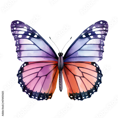 Watercolor Butterfly Clipart Illustration. Isolated elements on a white background.