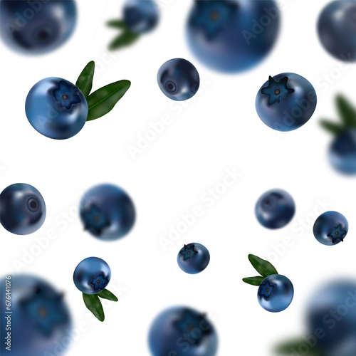 Scattered Blueberries with Leaves Vector