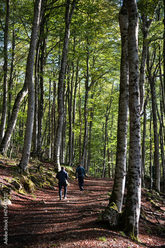 Dos senderistas caminan entre hayas en el hayedo encantado de la sierra de Urbasa en Pamplona, España. photo