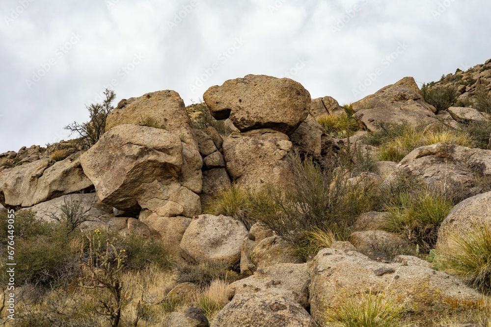 Rocks and plants in wilderness Rocks and plants in wilderness