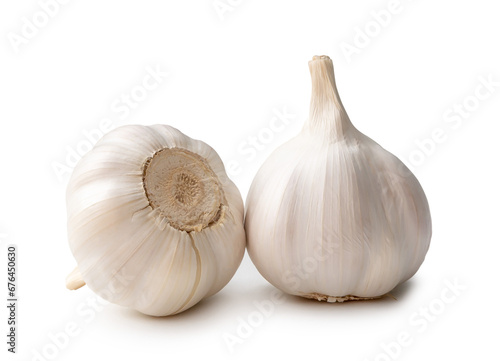 Two fresh white garlic bulbs isolated on white background with clipping path, Thai herb is great for healing several severe diseases