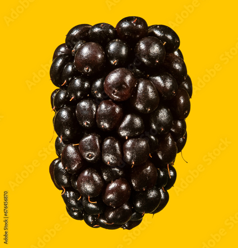 blackberries on yellow background photo