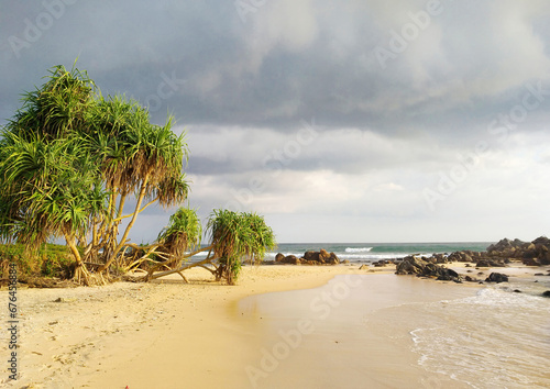 Beautiful view of the sandy shore of the Indian Ocean in Sri Lanka