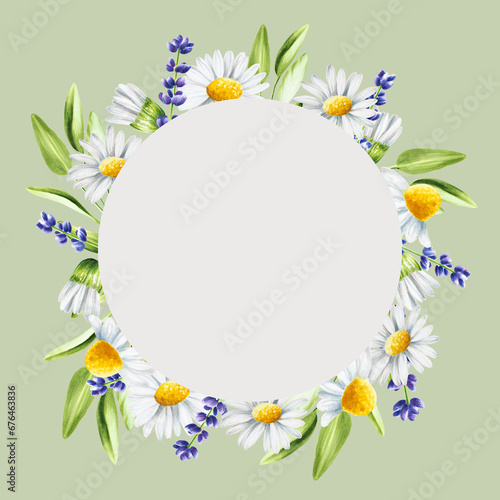 Watercolor frame and logo with lavender, sage and chamomiles illustration isolated on white background. Detail of beauty products and botany set, cosmetology and medicine. For designers, spa decora © Natalia