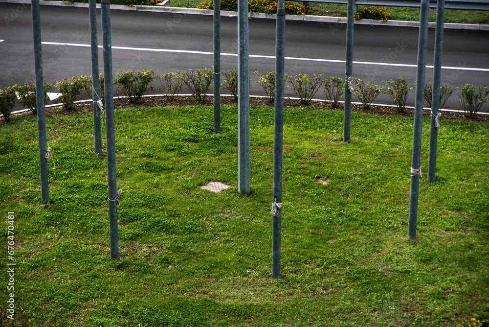 Poles on grass meadow in the park by asphalt road