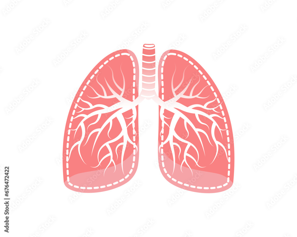 Healthy human lungs vector isolated on white background. Hand drawn flat cartoon style. Respiratory system icon Healthy human lungs vector isolated on white background. Hand drawn flat cartoon style. Respiratory system icon