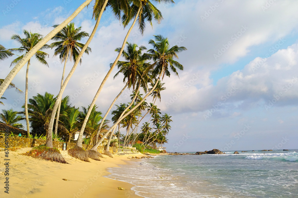 Beautiful seascape. Ocean coast, sandy beach and tall palm trees Beautiful seascape. Ocean coast, sandy beach and tall palm trees