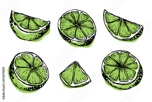 Vector lime clipart. Hand drawn citrus set. Fruit illustration. For print, web, design, decor