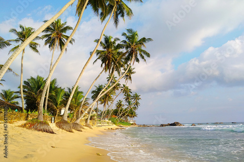 Beautiful seascape. Ocean coast, sandy beach and tall palm trees