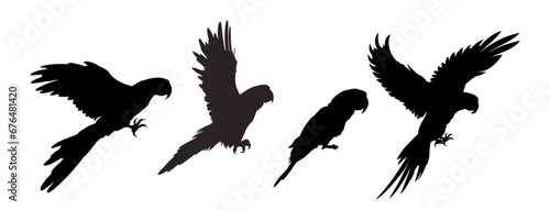 Parrot silhouette - isolated - vector illustration