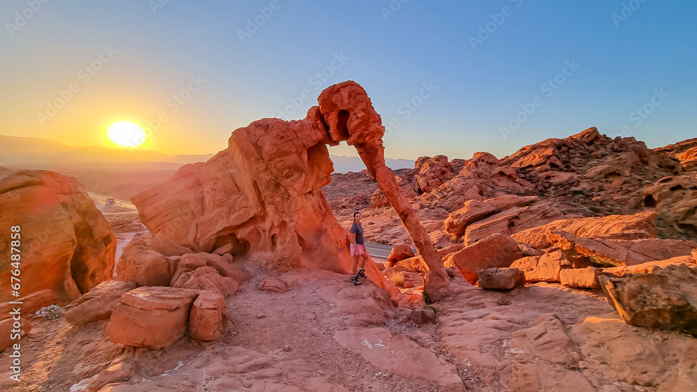 Fototapeta premium Panoramic sunrise view of the elephant rock surrounded by red and orange Aztec Sandstone Rock formations and desert vegetation in Valley of Fire State Park in Mojave desert near Overton, Nevada, USA.