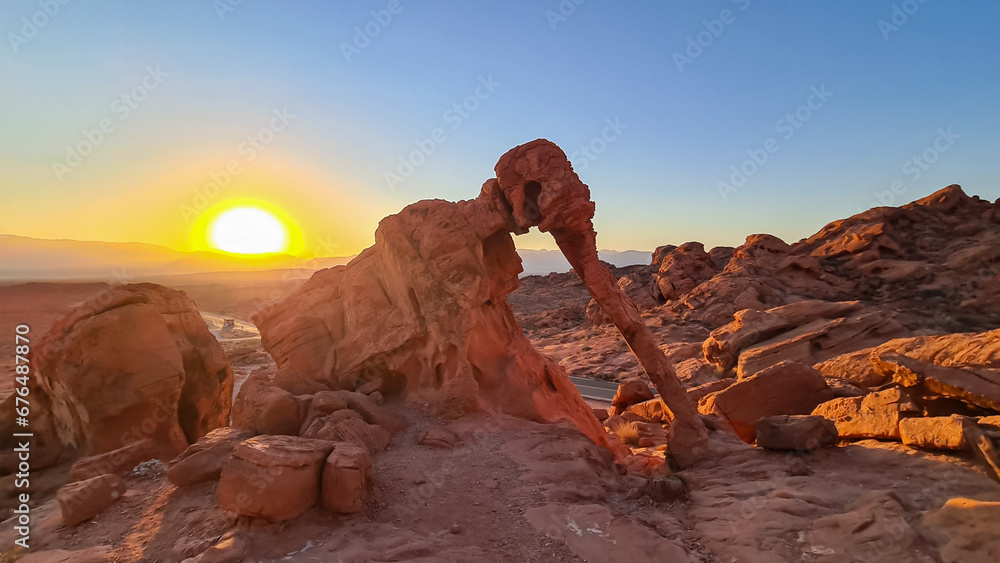 Panoramic sunrise view of the elephant rock surrounded by red and orange Aztec Sandstone Rock formations and desert vegetation in Valley of Fire State Park in Mojave desert near Overton, Nevada, USA.