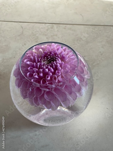 bouquet of dahlias