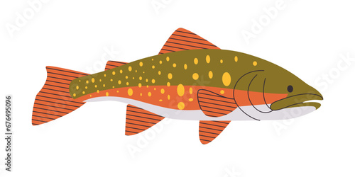 brook trout fish animal green and yellow color with spotted skin species freshwater swimming underwater fresh delicious seafood meat