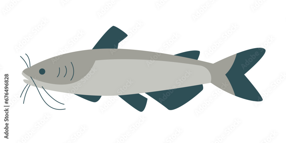 channel catfish animal with mustache head wild nature river swimming underwater fresh delicious seafood meat channel catfish animal with mustache head wild nature river swimming underwater fresh delicious seafood meat