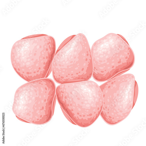 Chicken thighs vector illustration. Cartoon isolated raw poultry white meat, quarter part of broiler chick without drumstick, fresh piece of chicken or turkey leg to cook lunch or dinner and grill