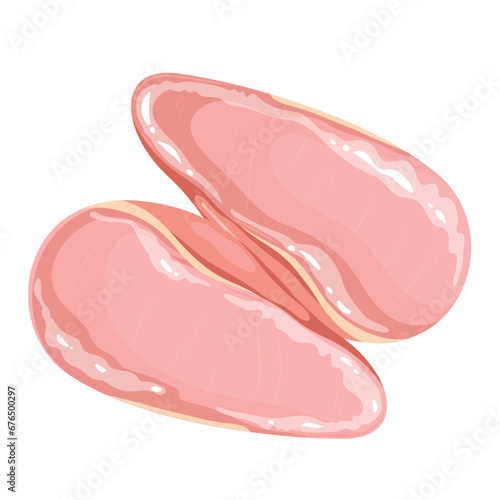 Chicken breasts vector illustration. Cartoon isolated raw pieces of poultry fillet without bones and skin, three skinless breasts, portion of lean white meat for cooking healthy lunch or dinner