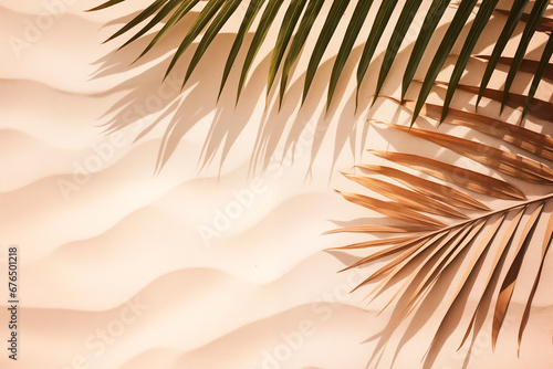 Palm leaves with a beautiful shade on a sandy beach. Background with copy paste