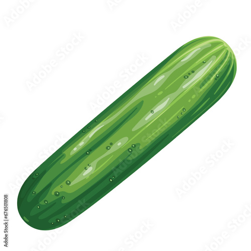 Cucumber vector illustration. Cartoon isolated top view of one whole vegetable, organic harvest cultivated in greenhouse or agriculture garden, long green juicy cucumber for cooking and eating