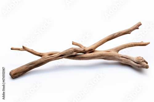 Driftwood Stick Isolated, Sea Wood Branch, Drift Wood