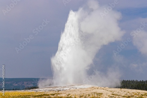 Eruption of geyser Old Faithful in Yellowstone National Park.