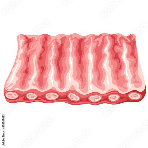 Raw ribs vector illustration. Cartoon isolated top view of fresh spareribs with bones, pork or beef, lamb or veal flanken meat for BBQ grill, rustic uncooked ribs for cooking gourmet dish, barbecue
