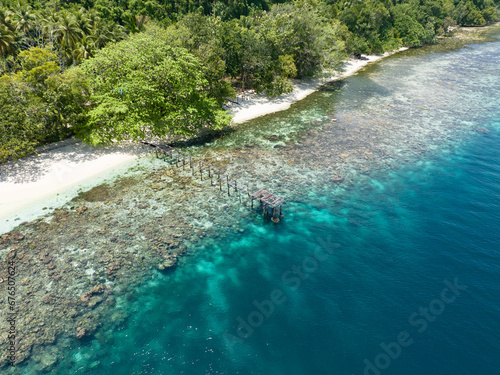 A shallow coral reef grows along the edge of a scenic island in Alyui Bay, Raja Ampat. This scenic area is known as the heart of the Coral Triangle due to its incredible marine biodiversity.