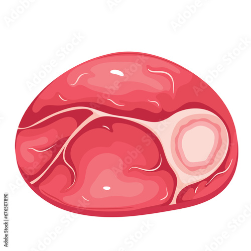 Raw round beef steak with bone vector illustration. Cartoon isolated top view of beef shank slice for ossobuco in Italian cuisine, red circle of marbled organic one beefsteak with marrow and fat layer