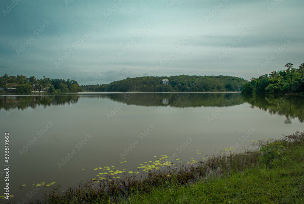 landscape with lake