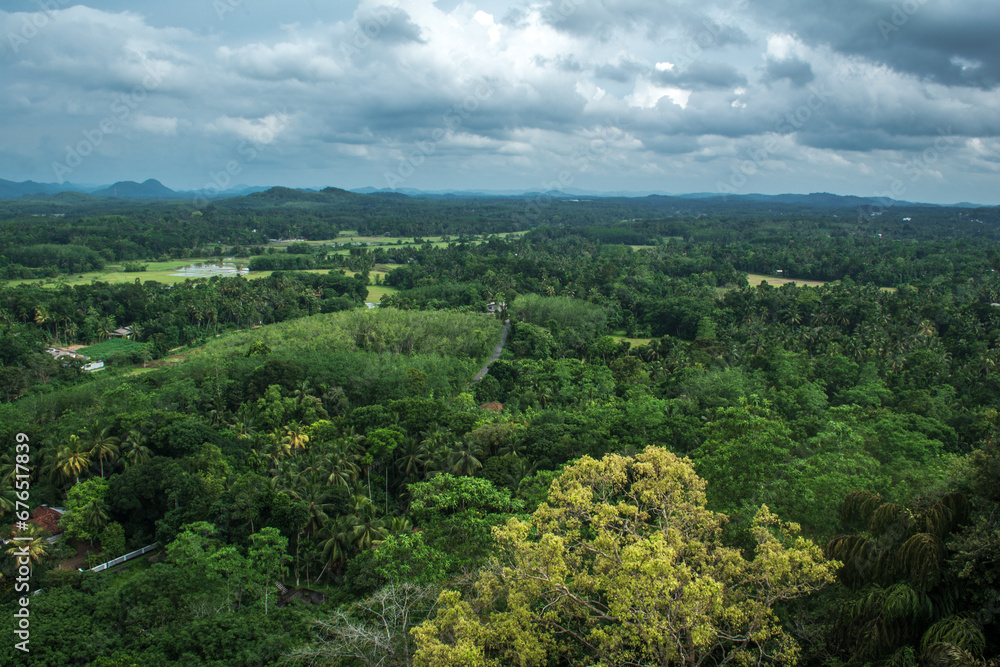 Obraz premium landscape with trees and clouds