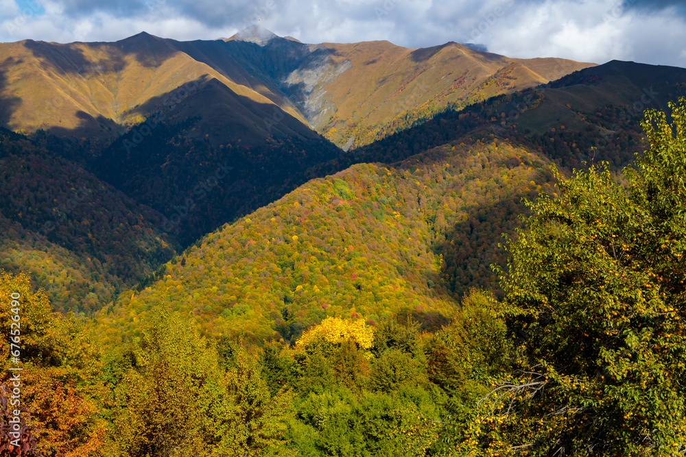Sunny autumn in the mountains covered with bright colorful trees. Colorful landscape. Sunny autumn in the mountains covered with bright colorful trees. Colorful landscape.